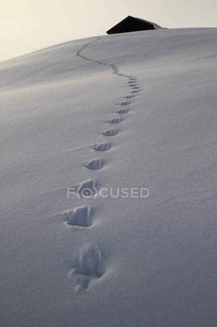 Footprints on snow slope leading up to cabin — Stock Photo