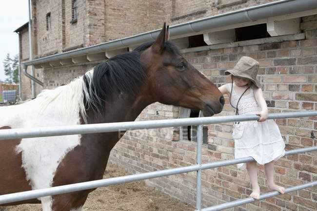 Girl embracing horse at farm — Stock Photo