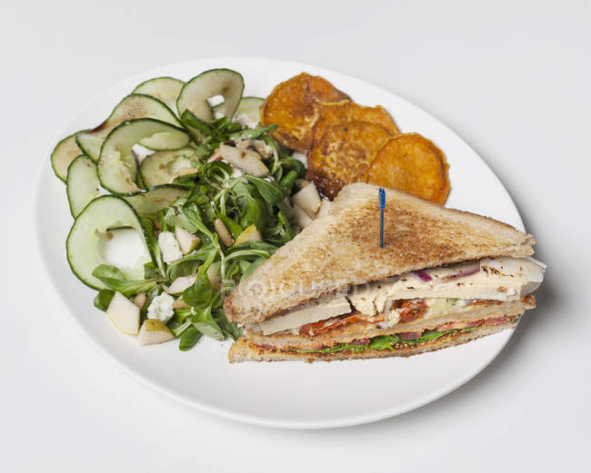 Vista cercana del sándwich y la ensalada servidos en plato sobre fondo blanco - foto de stock