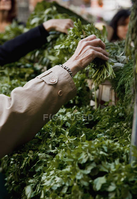 Обтинання жіночий руку, вибравши трави фермера на ринку — стокове фото