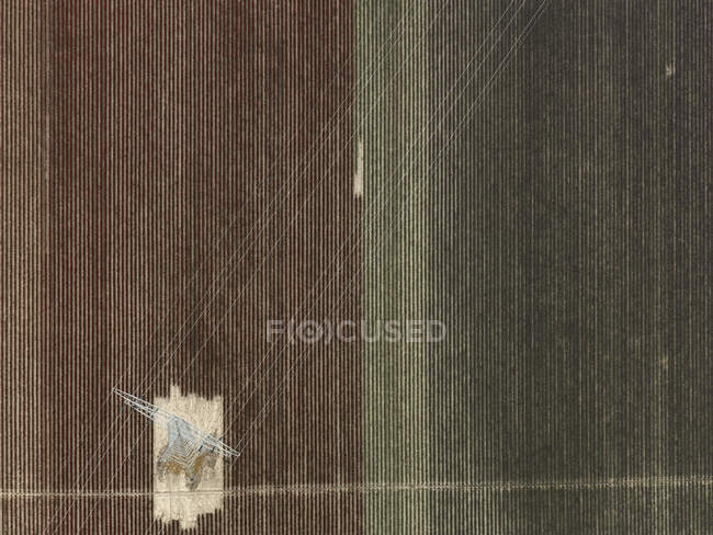Vista aérea del pilón eléctrico en el campo agrícola de gradiente - foto de stock