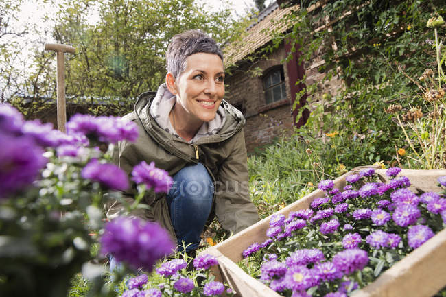 Femme heureuse plantant des fleurs violettes dans la cour arrière — Photo de stock