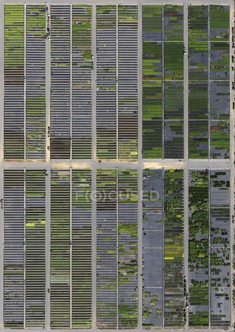 Directement au-dessus de la vue aérienne des champs de cultures dans le paysage — Photo de stock