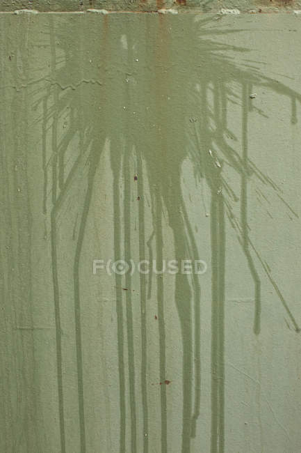 Mancha líquida na parede verde — Fotografia de Stock