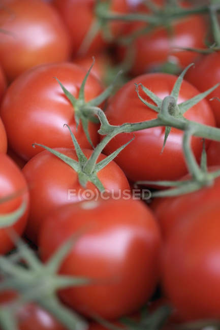 Full frame shot of fresh red tomatoes — Stock Photo
