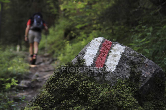 Segni dipinti sul sentiero naturalistico e escursionista sullo sfondo — Foto stock