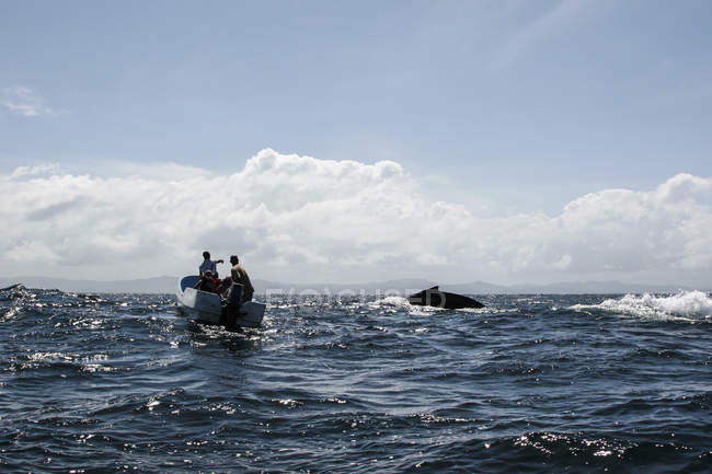 Männer im Boot beobachten Wale beim Schwimmen im Meer — Stockfoto