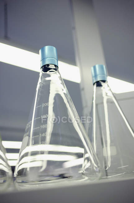 Fila de matraces cónicos en estante en laboratorio - foto de stock