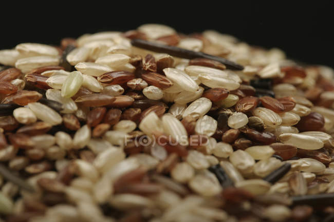Montón de arroz salvaje sobre fondo negro - foto de stock