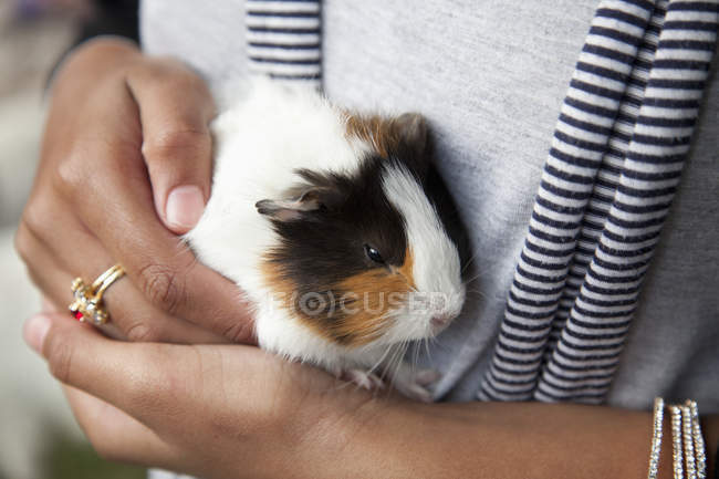 Midsection of woman carrying guinea pig — Stock Photo