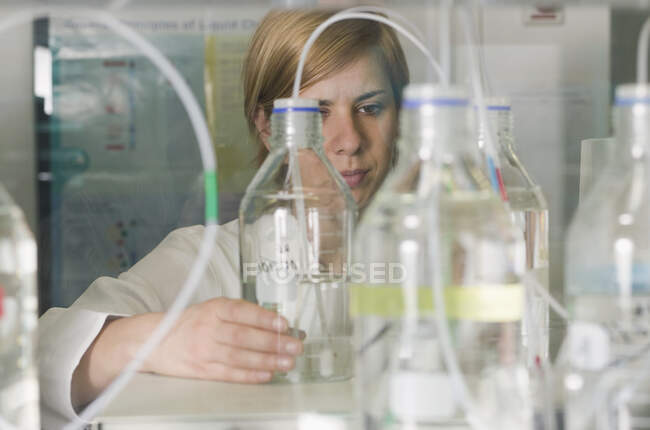 Technicien de laboratoire regardant les bouteilles en laboratoire — Photo de stock