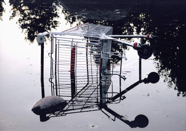 Canted shopping cart in pool of water — Stock Photo