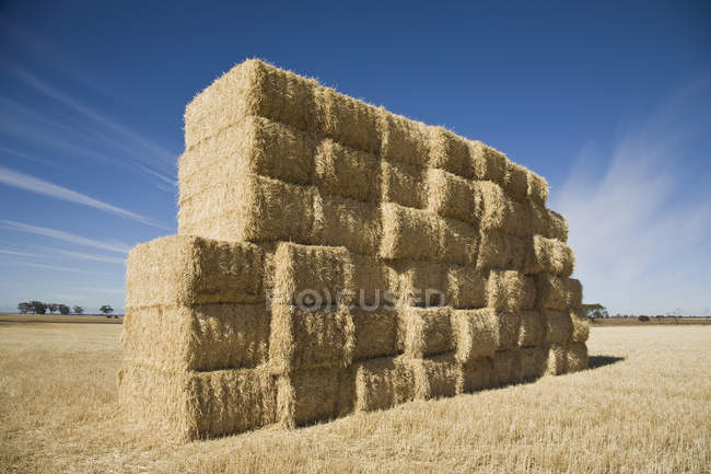 Stacked bales of hay at sunlit farmland — Stock Photo