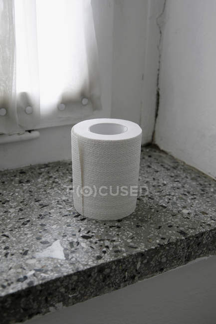 Role Of Toilet Paper On Granite Windowsill High Angle View Copy