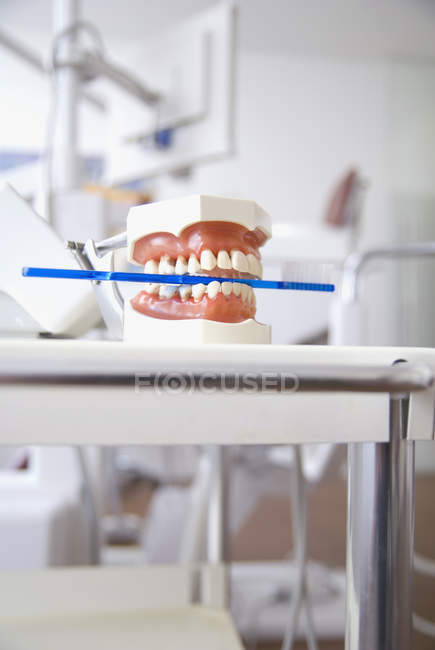 Вид на стоматологическую модель с зубной щеткой на столе — стоковое фото