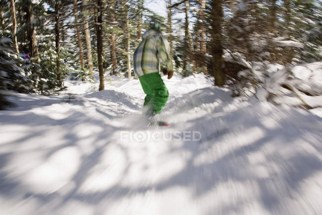 Vista trasera del niño snowboard entre árboles - foto de stock