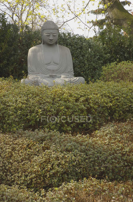 Statua di Buddha tra cespugli a giardino — Foto stock
