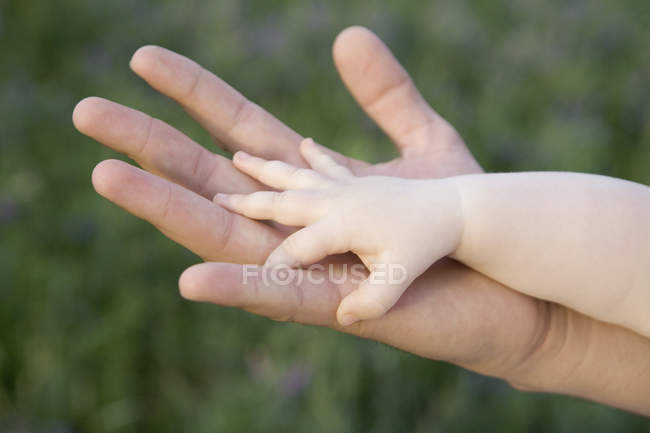 Crop bébé tenant la main du parent — Photo de stock