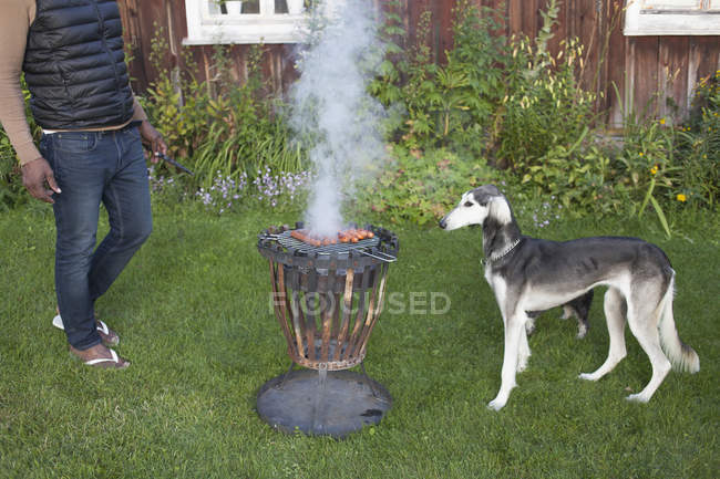 Greyhound looking at barbecue grill at yard — Stock Photo