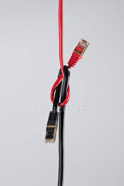 Два сетевых кабеля, завязанных узлом — стоковое фото