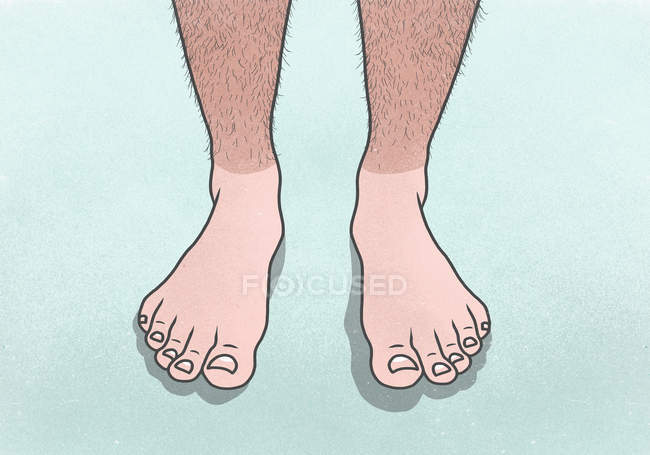 hairy leg and foot Hairy leg and foot