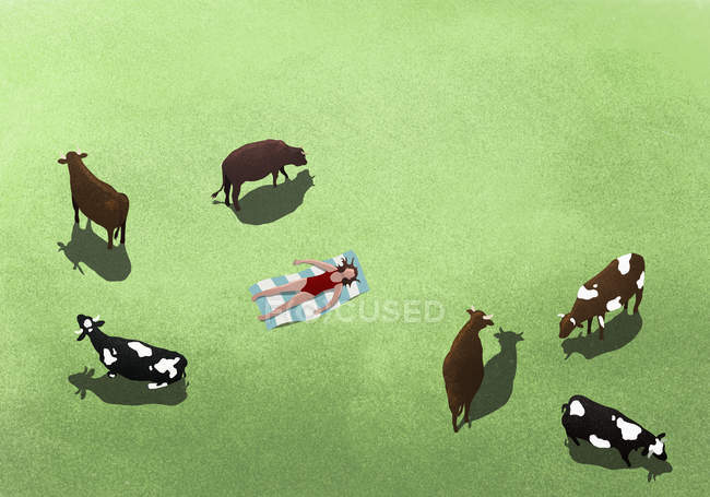 Vacas pastando y mujeres tomando el sol en el campo - foto de stock