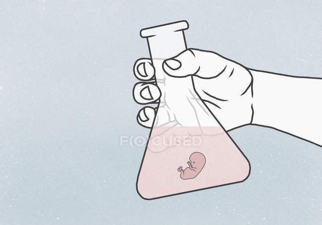 Detalle del matraz cónico de mano que contiene embrión humano en líquido - foto de stock