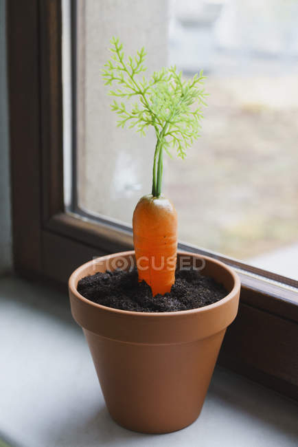 Zanahoria de plástico en maceta con tierra en el alféizar de la ventana - foto de stock