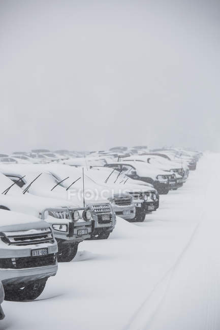 Snow covering parked cars in full parking lot — Stock Photo