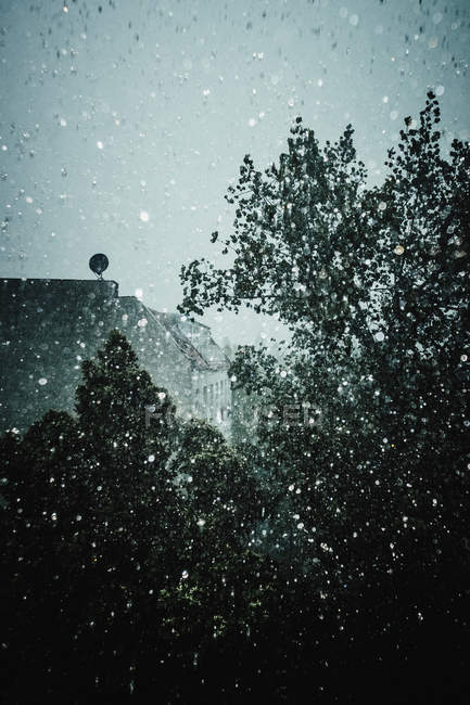 Gocce di pioggia eteree sulla finestra con vista sull'albero — Foto stock