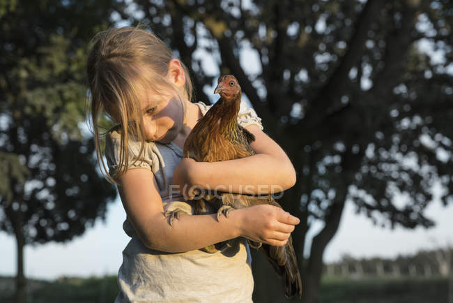 Ein Tier Stockfotos Lizenzfreie Bilder Focused