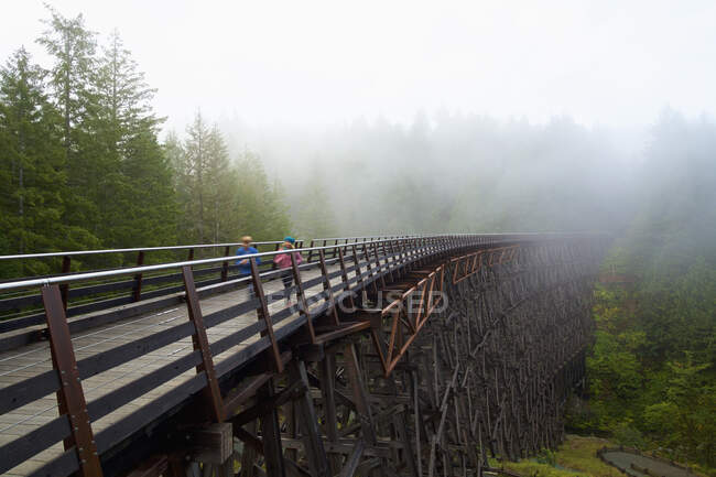 Bambini che investono il cavalletto ferroviario, British Columbia, Canada — Foto stock