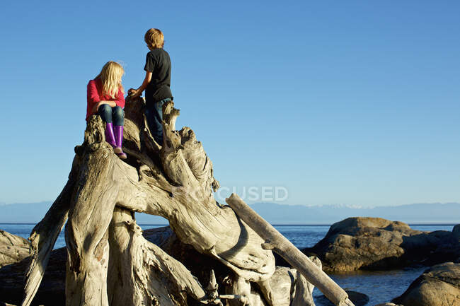 Fratello e sorella giocare su driftwood a spiaggia — Foto stock