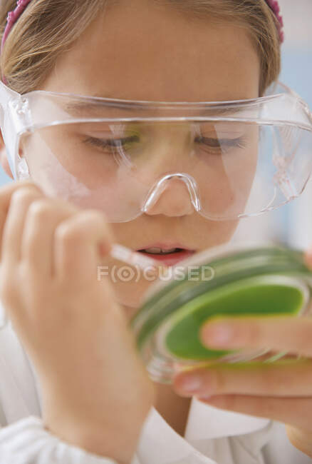 Close up ragazza delle scuole medie in occhiali di scienza con capsula di Petri — Foto stock
