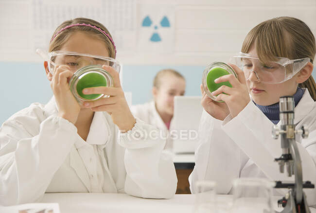 Estudiantes de secundaria con placas de Petri en laboratorio de ciencias - foto de stock
