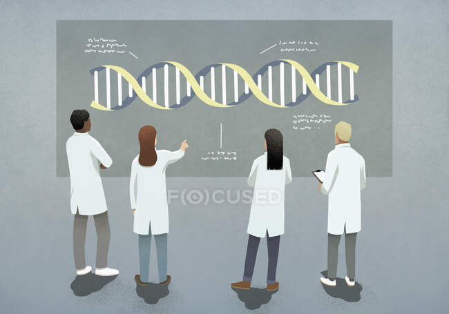 Científicos examinando y discutiendo diagrama de doble hélice de ADN - foto de stock