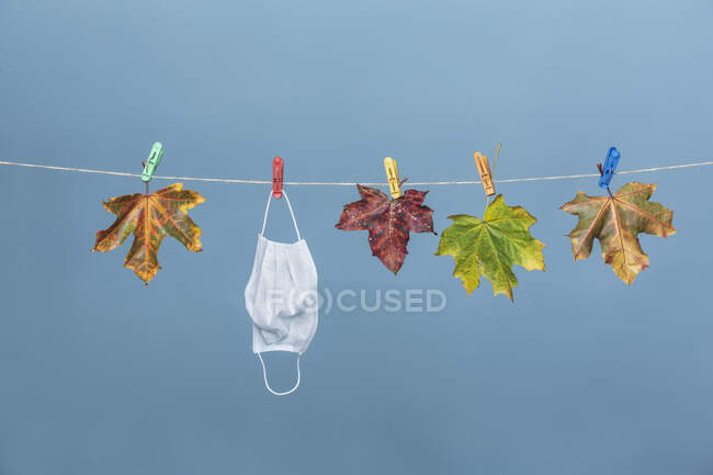 Маска для лица, висящая на веревке с осенними листьями — стоковое фото