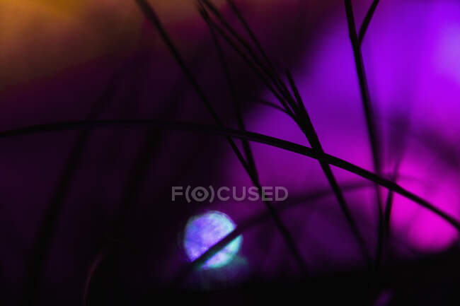 Силуэт линий на фиолетовый, синий и оранжевый свет — стоковое фото