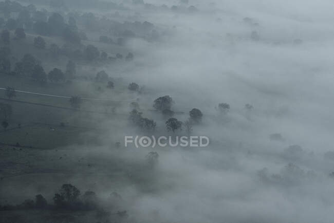 Ethereal fog over trees and landscape, Peak District National Park, England — Stock Photo