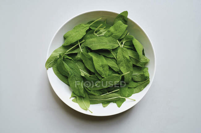 Vista dall'alto foglie di salvia verde fresco in ciotola — Foto stock