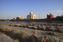 Landwirtschaft, Gurkenfeld, Taj Mahal, siebtes Weltwunder, Mausoleum aus weißem Marmor, Unesco-Weltkulturerbe, agra, Indien — Stockfoto