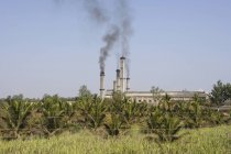 Zuckerfabrik mit Rauch und grünem Gras an der Front, Karnataka, Indien — Stockfoto