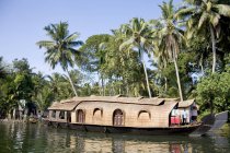 Blick auf Boot, das tagsüber durch den Fluss gegen Palmen fährt — Stockfoto
