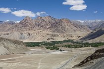 Un site rare de peupliers et saules dans la vallée près de Nimmu sur la route Leh-Kargil dans le paysage typique du désert froid du Ladakh, en Inde — Photo de stock