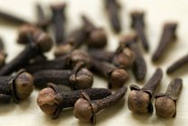 Cloves spice few brown rough flowerbud  laying on white blurred surface — Stock Photo
