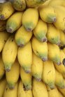 Bund frischer Bananenwegerich, aus nächster Nähe — Stockfoto