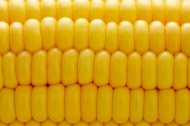 Maïs jaunes crus frais sur fond blanc — Photo de stock