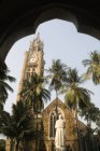 Низький кут зору через дерев і arch вежа з годинником, Джайпур, Раджастхан — стокове фото