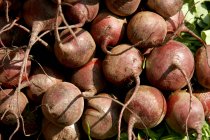 Vegetable beetroot used for green salad or as separate dish — Stock Photo