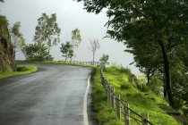 Camino rural con verde de monzón fresco por todas partes. Maharashtra, India . - foto de stock